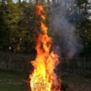 Meet your Posher, Francis